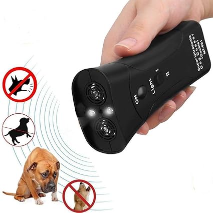 selling chihuahua puppies