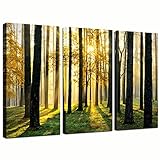 Sea Charm - Forest Canvas Wall Art,Morning Scene with Sun Rays Picture Canvas Prints Forest Landscape Painting Giclee Artwork Printed Framed,Modern Office Home Living Room Decoration Ready to Hang