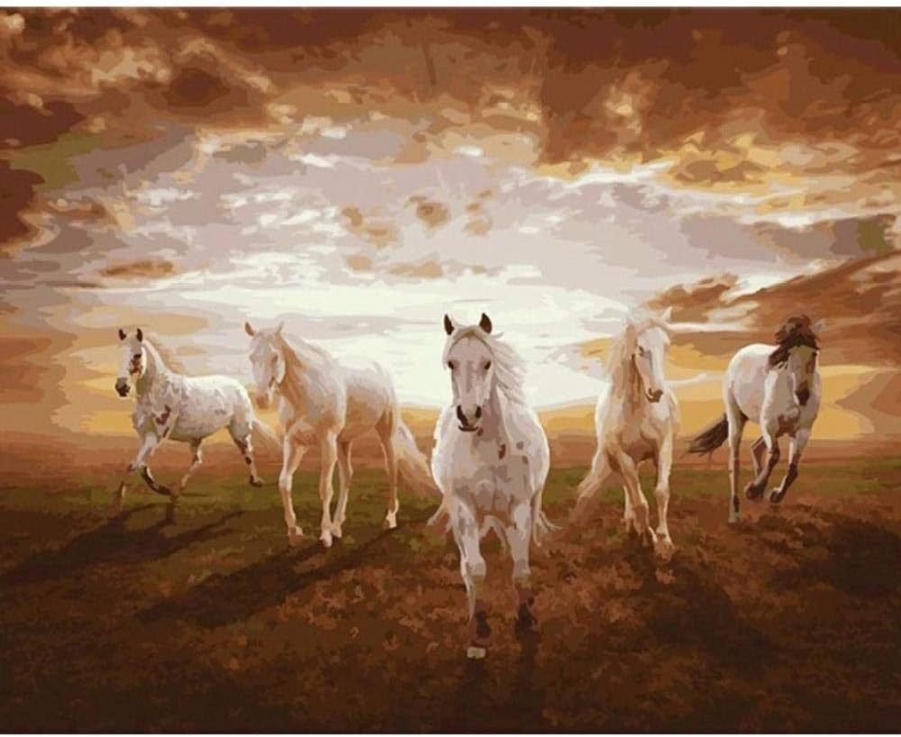 Qwerlp Horses Pictures Coloring by Numbers of Flower and Bird Wall Decor Home Decor Diy-40X50Cm,Frameless