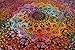 Popular Handicrafts Tie Dye Hippie Kaleidoscopic Star Intricate Floral Design Indian Bedspread Good Luck Marshala 54x84 Inches,(140cmsx215cms) Tye Dye Multi Color