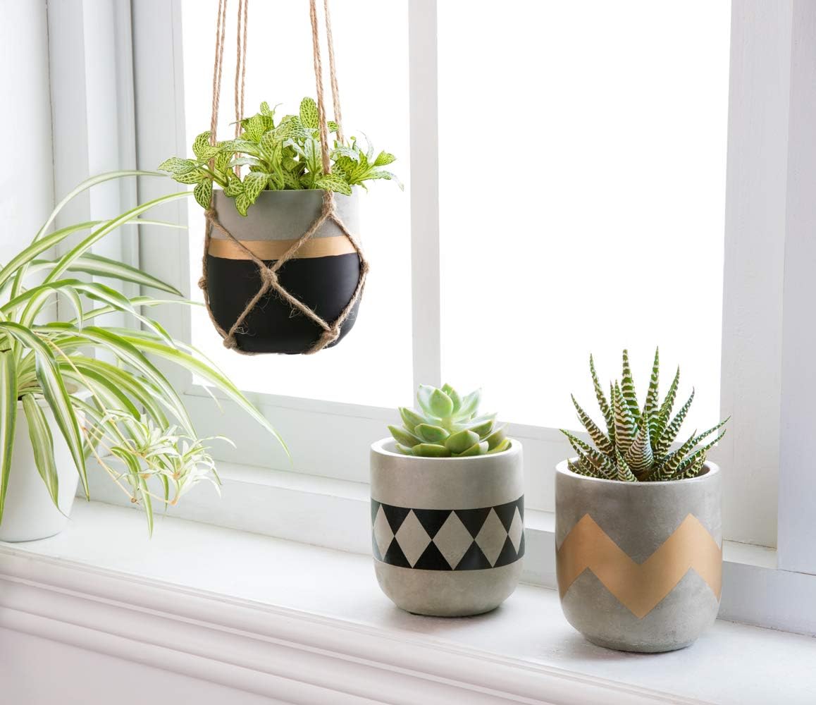 Mkono Cement Succulent Planter Set of 3 Concrete Plant Pots Modern Flower Pots Indoor for Cactus Herb or Small Plants Home Decor Gift Idea (Plants NOT Included), 4" : Garden & Outdoor