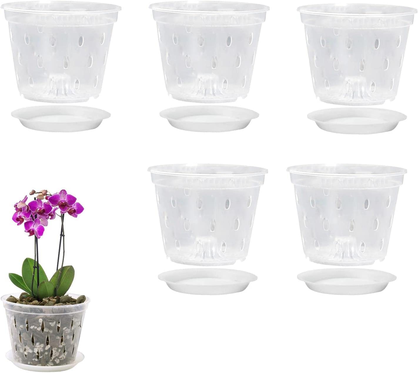 BestAlice 5 Pack 6 Inch Orchid Pot with Holes And Saucers, Clear Plastic Orchid Pots for Plant and Repotting, Garden Planters Pots for Home Office