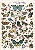 Cavallini & Co. Butterfly Chart Decorative Decoupage Poster Wrapping Paper Sheet