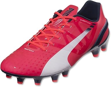 puma men's evospeed 1.3