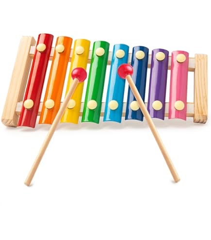 Amazon.com: Sonor Glockenspiel (NG31) : Toys & Games