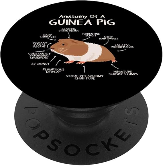 guinea pig outfits amazon