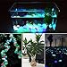 YuCool 220 Pcs Glow in The Dark Garden Pebbles Stones, Pebbles Rocks for Garden Walkways Outdoor Path Patio Lawn Yard Fish Tank Decorations - Blue, Light Blue, Green, Orange, Rose Red