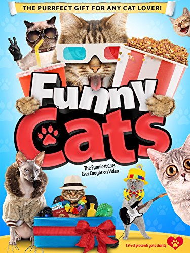 Clip: Funny Cats
