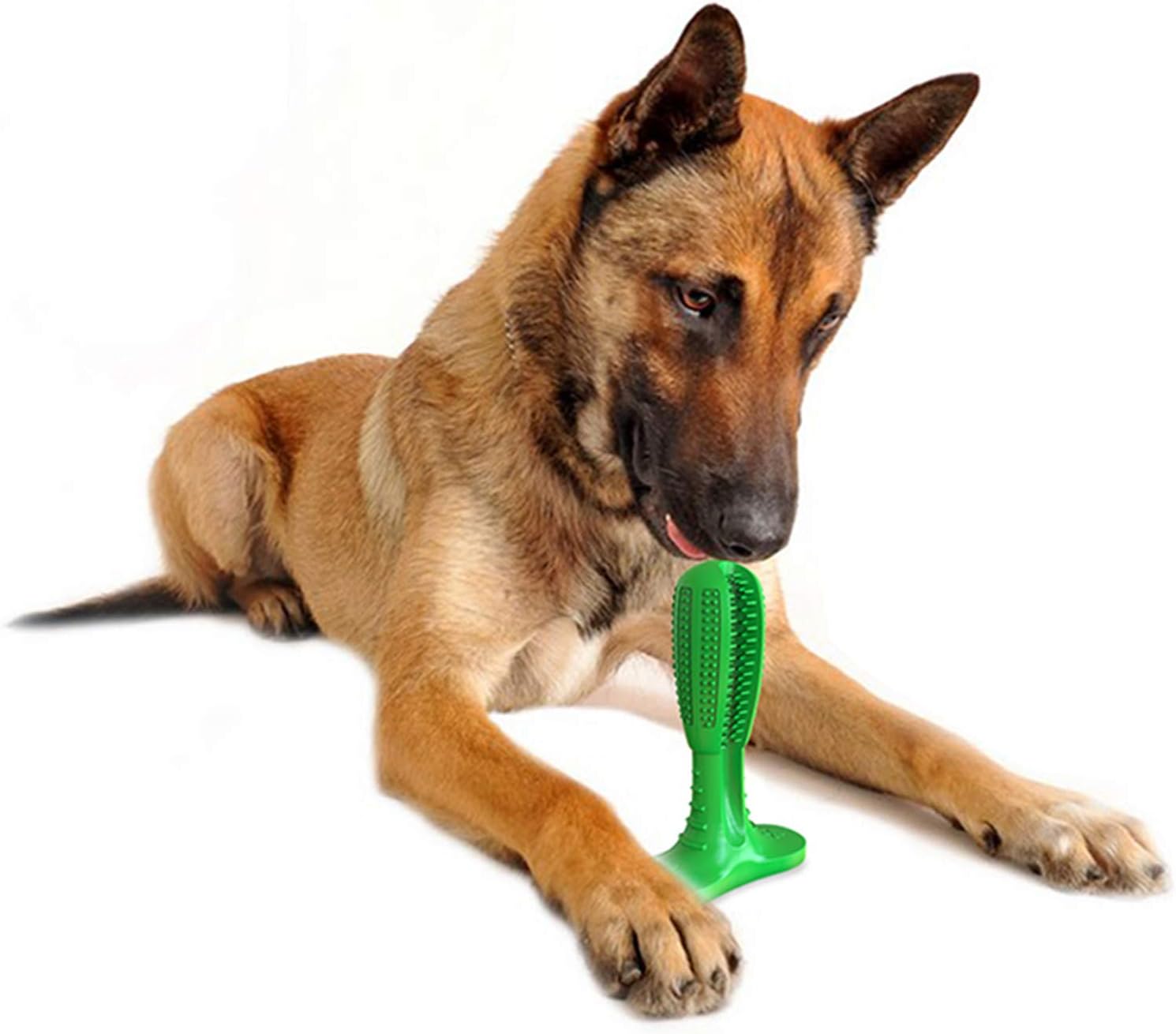 MansWill Dog Dental Care Toothbrush - Image 5