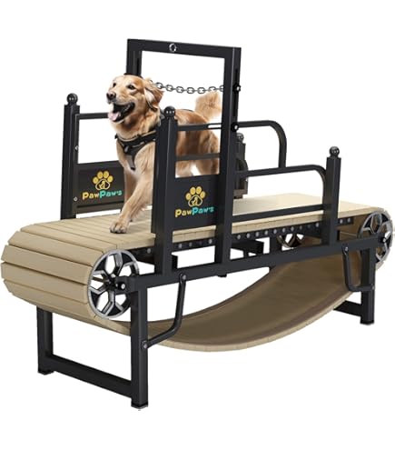 Dog Pacer Treadmill LF HOPE Treadmill Helping Fight Canine
