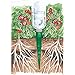 Achla Designs AQC-01G Green Set of Six Plant Watering Aqua Cone for Plastic Bottles