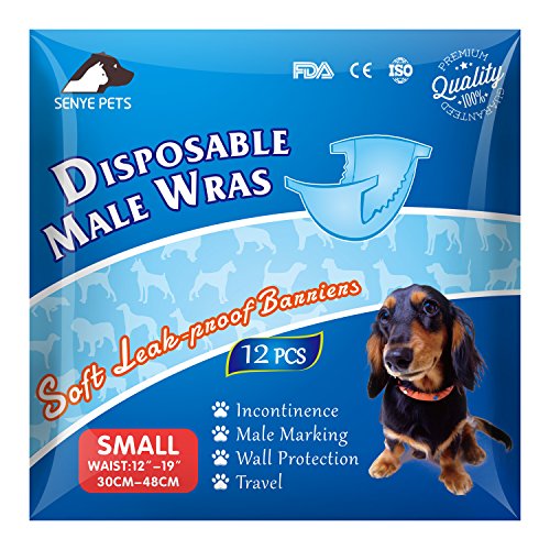 pet soft disposable male wraps