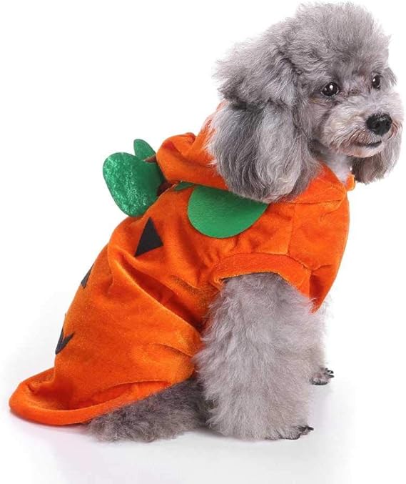 Tianneng Hund Haustier Halloween Weihnachten Orange Kürbis Kostüm