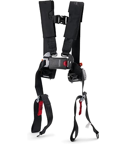 Amazon.com: Genuine Kawasaki OEM Teryx KRX 1000 Click-6 Complete 6
