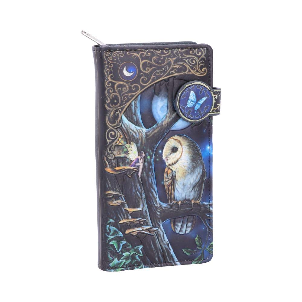 Nemesis Now B4864P9 Lisa Parker Fairy and Owl Purse 18.5cm, PU, Black, One Size