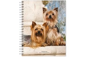 Yorkshire Terriers | 2024 6 x 7.75 Inch Spiral-Bound Wire-O Weekly Engagement Planner Calendar | New Full-Color Image Every Week | BrownTrout | Yorkies Dog Breeds