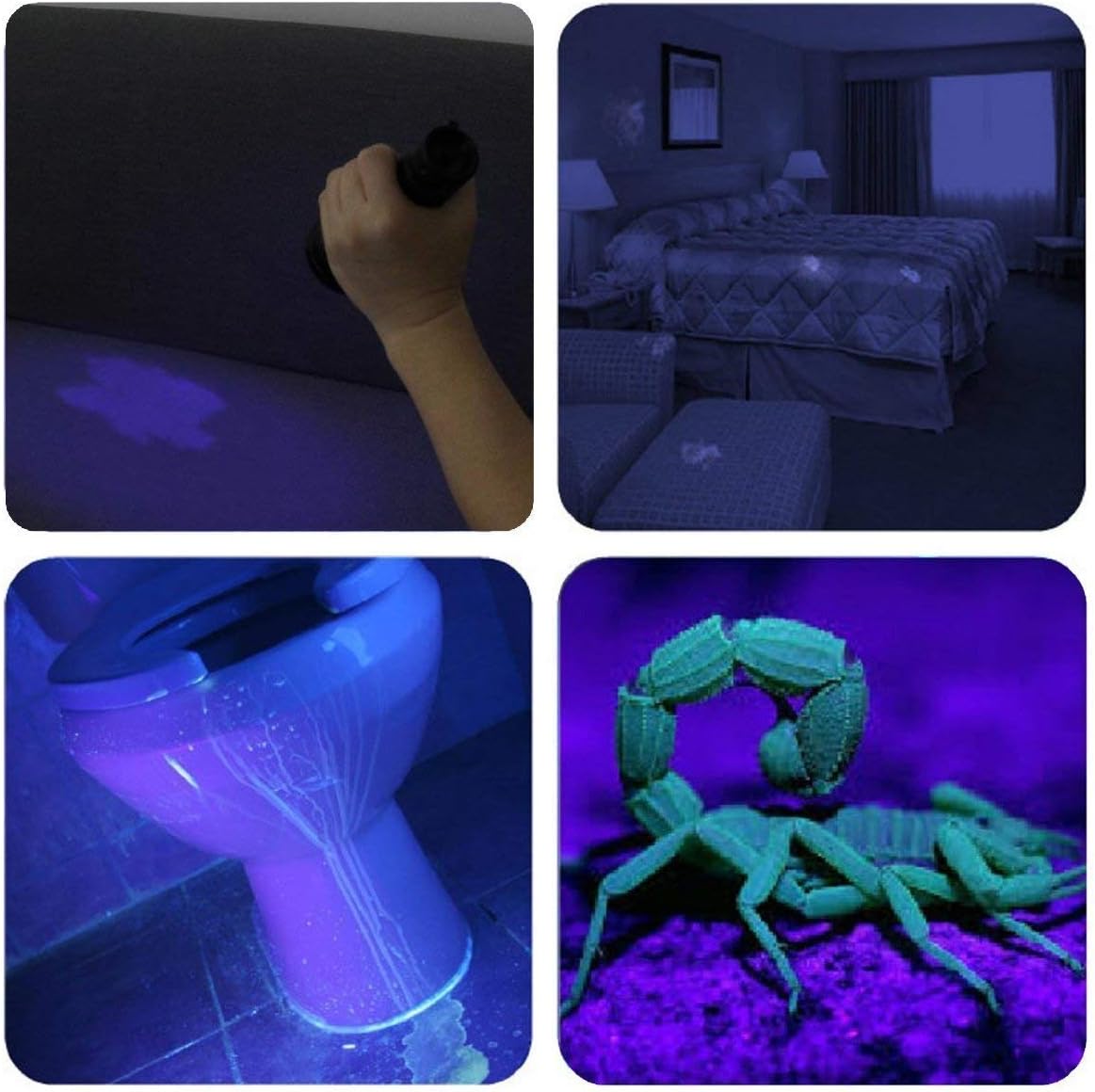 Vansky UV Torch 21 LEDs, UV Flashlight Black Light for Pet Urine Detection Blacklight Detector for Dog Urine Pet Stains - Image 5
