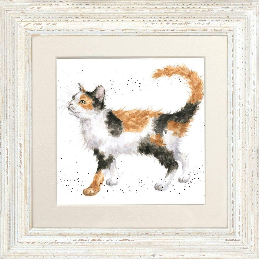 Wrendale Designs "Calico Cat Tortoiseshell Cat Framed Picture - Various Frame Colours (White)