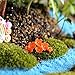 Kangnice 10Pcs Miniature Flower Moss Bonsai DIY Crafts Fairy Garden Landscape Decor