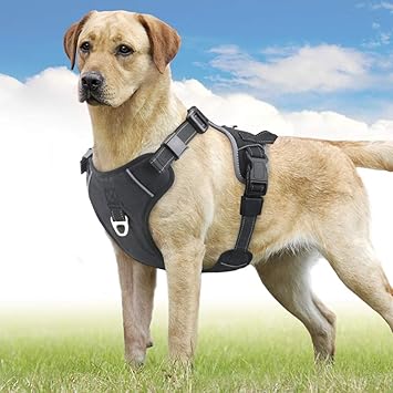 Idefair Harnais Pour Chien Sans Tirer Chien Harnais