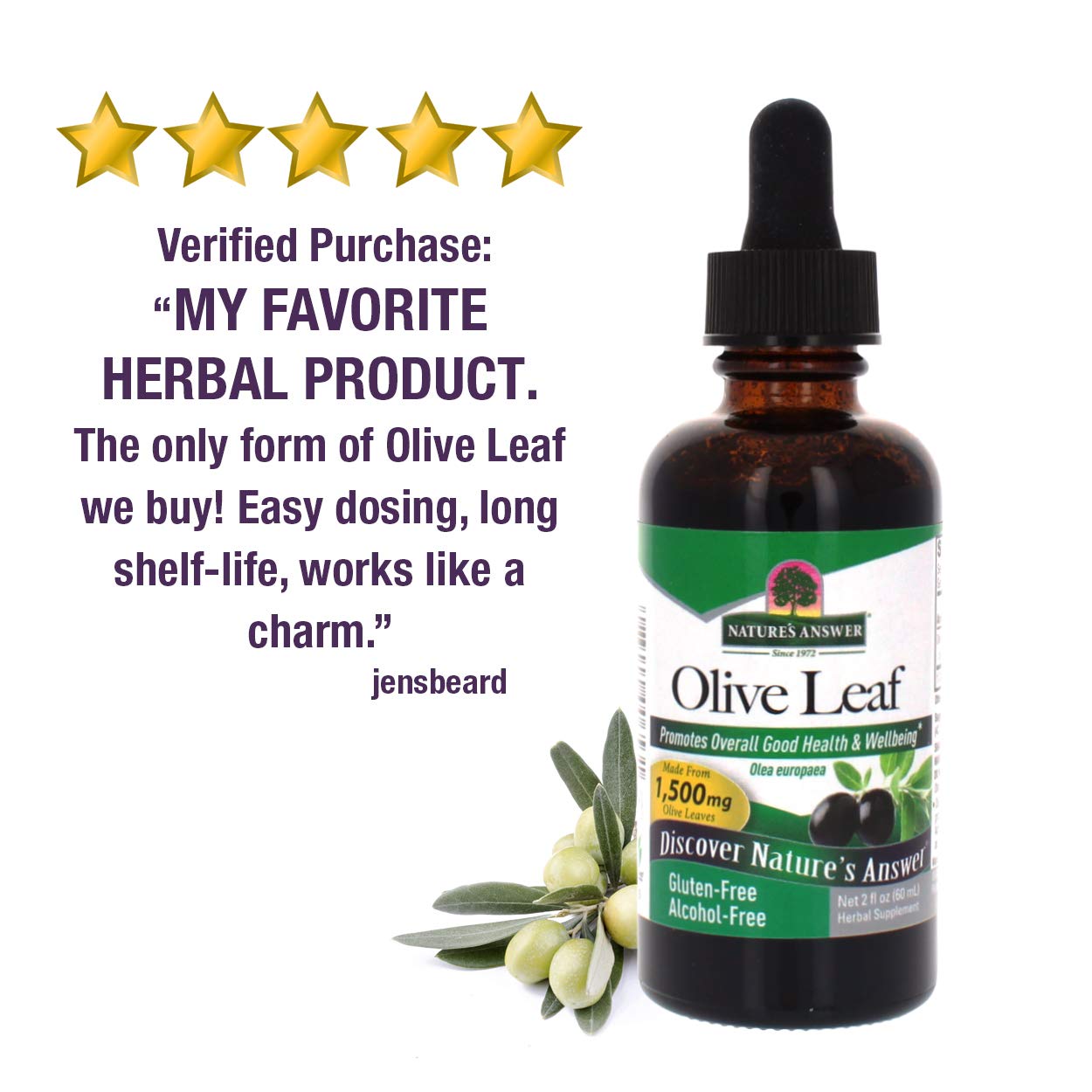 Nature's Answer Alcohol-Free Oleopein Olive Leaf, 2-Fluid Ounces, Cranberry, 60 ml (Pack of 1) - Image 4
