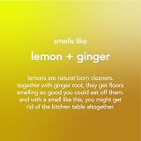 Method Multipurpose Floor Cleaner Lemon Ginger 739ml Pack of 3 view 3