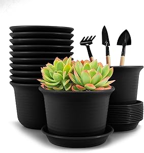 Baodan Plastic Flower Plant Pots, 6 inch Plant Containers with Drainage Holes and Trays, Decorative Round Seedling Nursery Planters for Indoor Outdoor, Set of 12- Plants Not Included (Black)