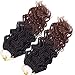 Belle Show14'Wavy Senegalese Twist Free Ends Synthetic Braiding Hair Extensions 35 Roots/Pack 85g Kanekalon Ombre Jumbo Crochet Braids Pre-looped Hair (3 pcs 14 inch, 1b/30)