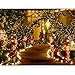 LE 100 LED Solar String Lights, 49ft/15m Waterproof, Fairy Lights for Christmas Garden Party Patio Outdoor Decoration (Warm White - 100 LED)