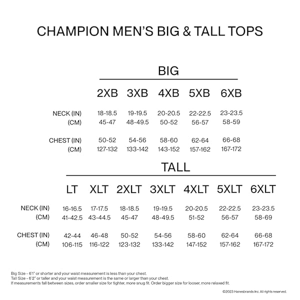 CHAMPION MEN’S HOODIE, POWERBLEND, FLEECE STRIPED SWEATSHIRT FOR MEN (REG. OR BIG & TALL)