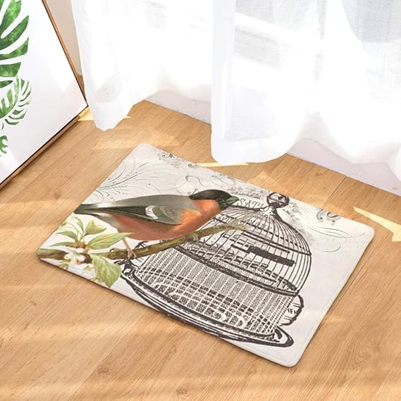 IGZAKER Bird Cage Theme Printing Pad Rectangular Absorbent Floor Mats