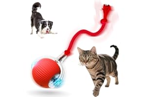 Jiexily Interactive Cat Toys for Indoor Cats, 2025 New Motion Activated Cat Balls with 360° Smart Automatic Rolling Moving for Bored Pet Cats Dogs (Red)