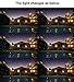 Christmas Projector Lights, Smart&green Lighting Static Laser Christmas Lights Outdoor, Red and Green Decoration Projector Lights Lamp with RF Remote for Christmas Halloween Birthday Wedding Party