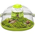 Snail Terrariums Breeding Box, Round Habitat Starter Terrarium Kit, Transparent Feeding Box, Ideal for Beetles, Spiders and Small Reptile