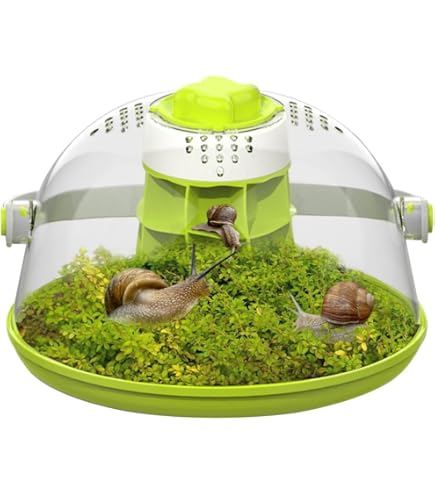 2 Pack Snail Food And Water Bowl For Land Snails Pet Snail Calcium Bowl Snail Feeder Dish Pet Land Snail Supplies