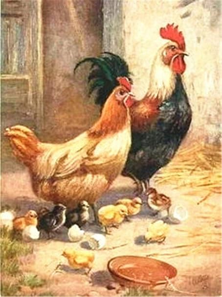 Amazon Co Jp デジタル絵画diyの鶏の絵動物の絵家の装飾a5 40x50cm フレームレス ホーム キッチン