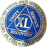 40 Year AA Medallion Dusty Blue Color Gold Plated Chip XL