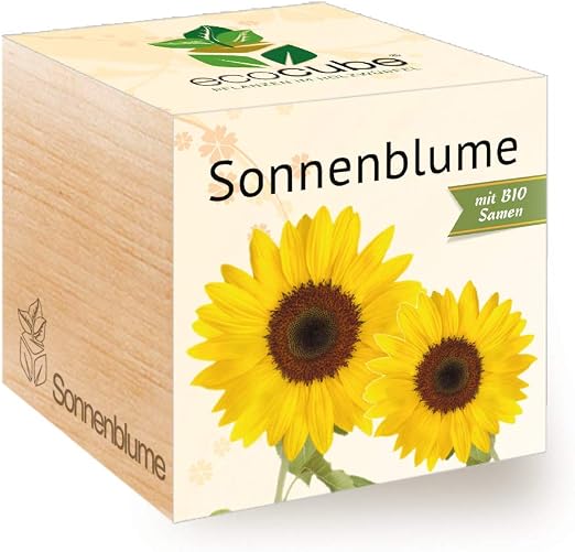 Feel Green Ecocube - Flor de Sol ecológica, Certificado ecológico ...