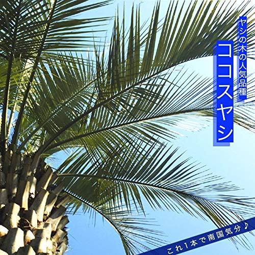 Amazon Co Jp ヤシの木 ココスヤシ 5号ポット苗 常緑樹 観葉植物 耐寒性 シンボルツリー Diy 工具 ガーデン