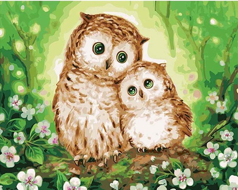 YEESAM ART Paint by Numbers for Adults Beginners Owls Flowers 16x20 inch Linen Canvas Acrylic DIY Number Painting Kits Wall Art Decor Gifts (Framed)