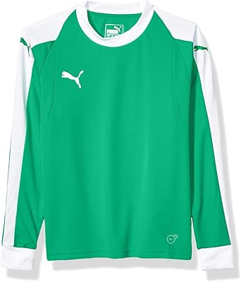 puma liga goalkeeper jersey