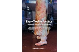 Every Twelve Seconds: Industrialized Slaughter and the Politics of Sight