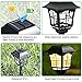 hosus Solar Pathway Lights Outdoor OR Solar Lights Outdoor OR Solar Garden Lights OR Solar Landscape Lights or Solar Lights for Yard/Patio/Garden/Walkway/Driveway (6)