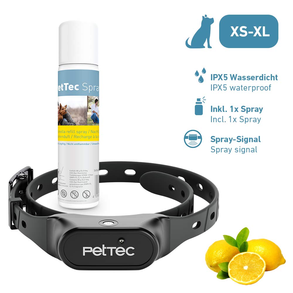 bestes hundefutter Hundefutter Huhn & Kartoffeln main image 1