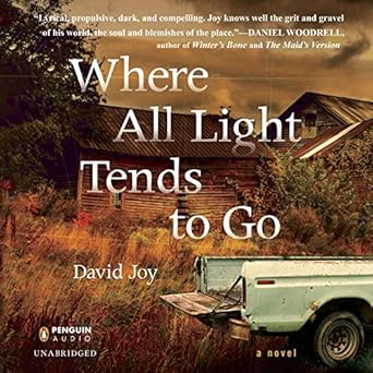 Where All Light Tends to Go  - David Joy