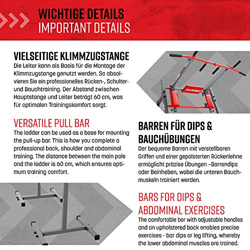 K-Sport-Trainingsset-SprossenwandDip-Station-Klimmzugstange-Trainingsbank-I-Kraftstation-mit-Pull-Up-Bar-Dip-Stange-Hantelbank-I-Klimmzug-Dip-Station-I-Professionelle-Fitnessgeraete-fuer-Zuhause