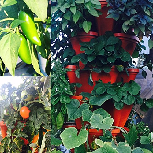LARGE Vertical Gardening Stackable Planters by Mr. Stacky Grow More