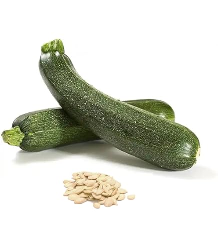 Sayury Baldovinoさん専用.5 Amazon.com : Grey Zucchini Summer Squash Seeds Heirloom