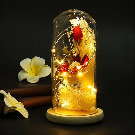 Supertop Multi Led Rose Glass Dome Beauty And The Beast Rose With