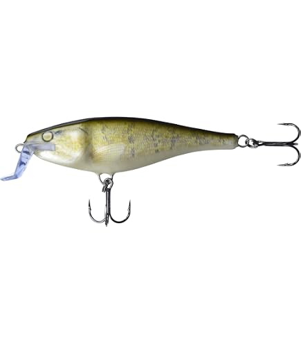 Rapala Super Shad Rap SSR 14 | Vente de Poissons nageurs pour la pêche